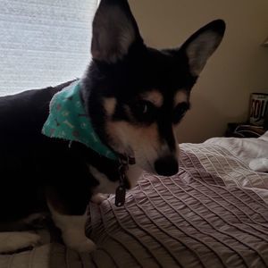 Meet your Posher, Marcus